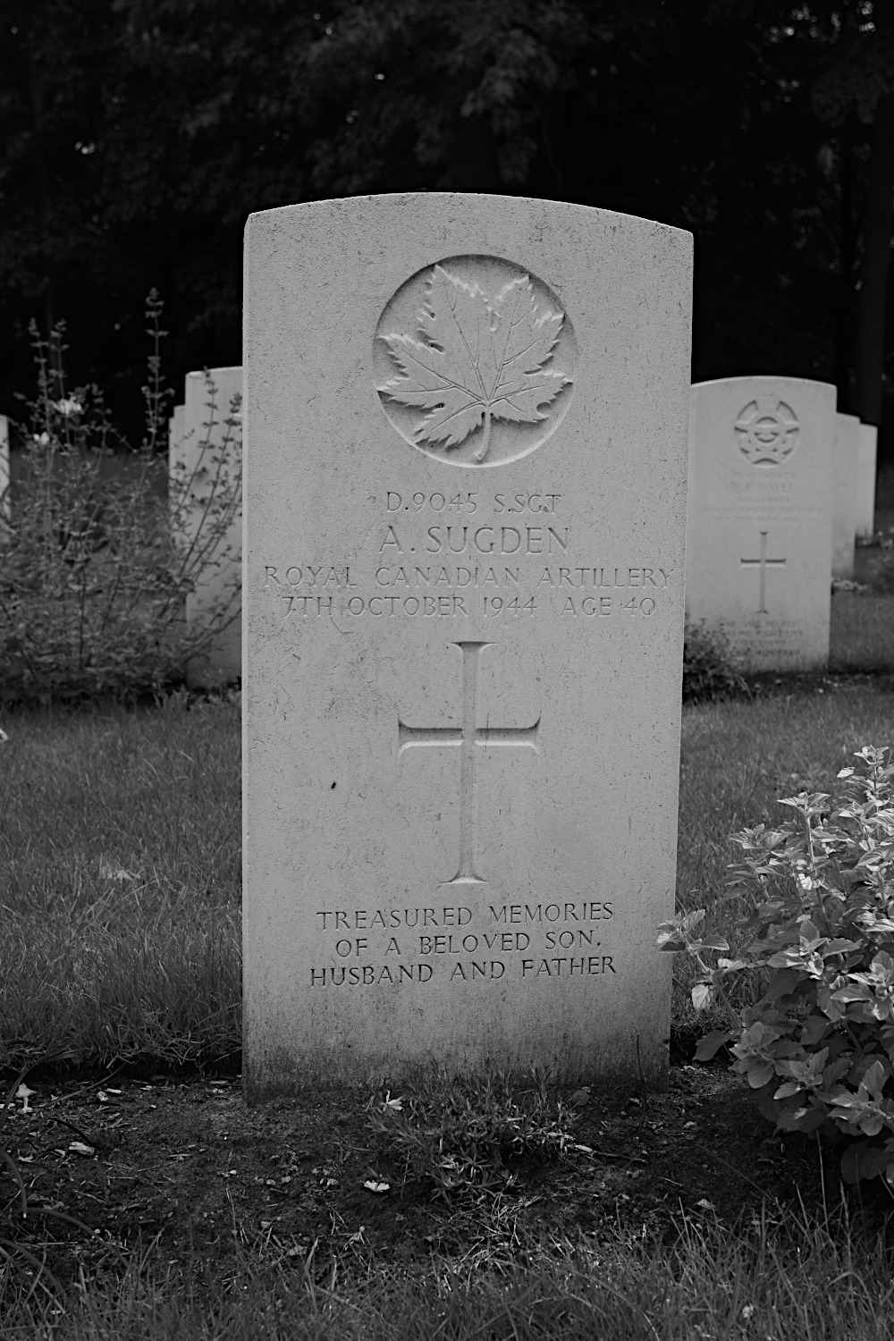 SUGDEN, ALBERT