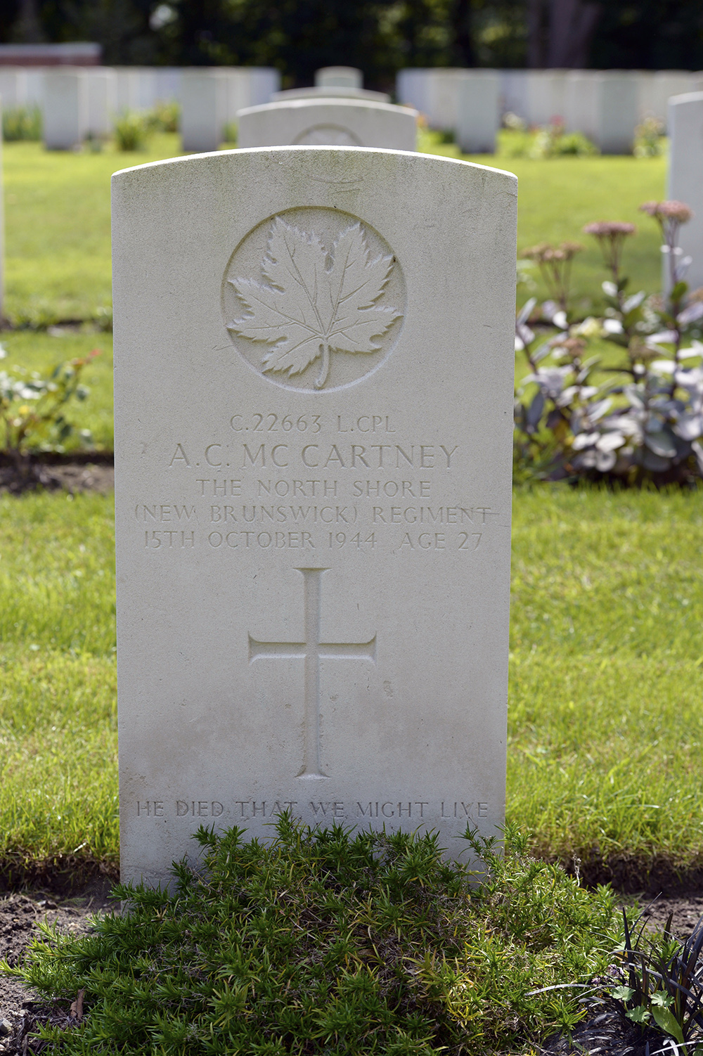 MCCARTNEY, ALEX CUNNINGHAM - North Shore (New Brunswick) Regiment, R.C.I.C.