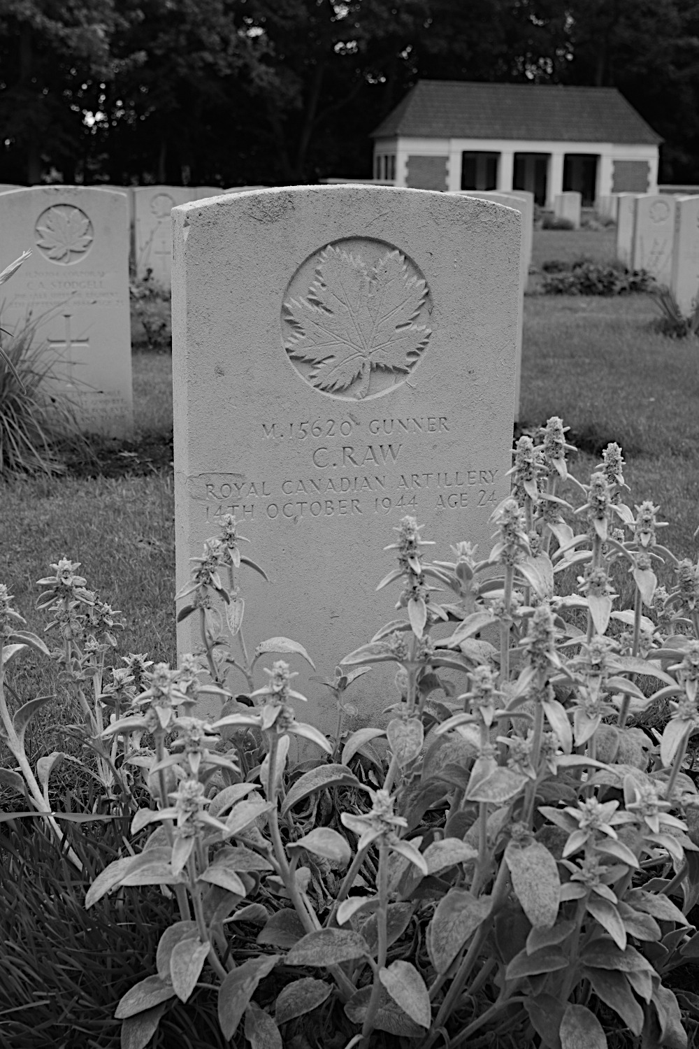 RAW, CHARLES - 5 Anti Tank Regiment, R.C.A.