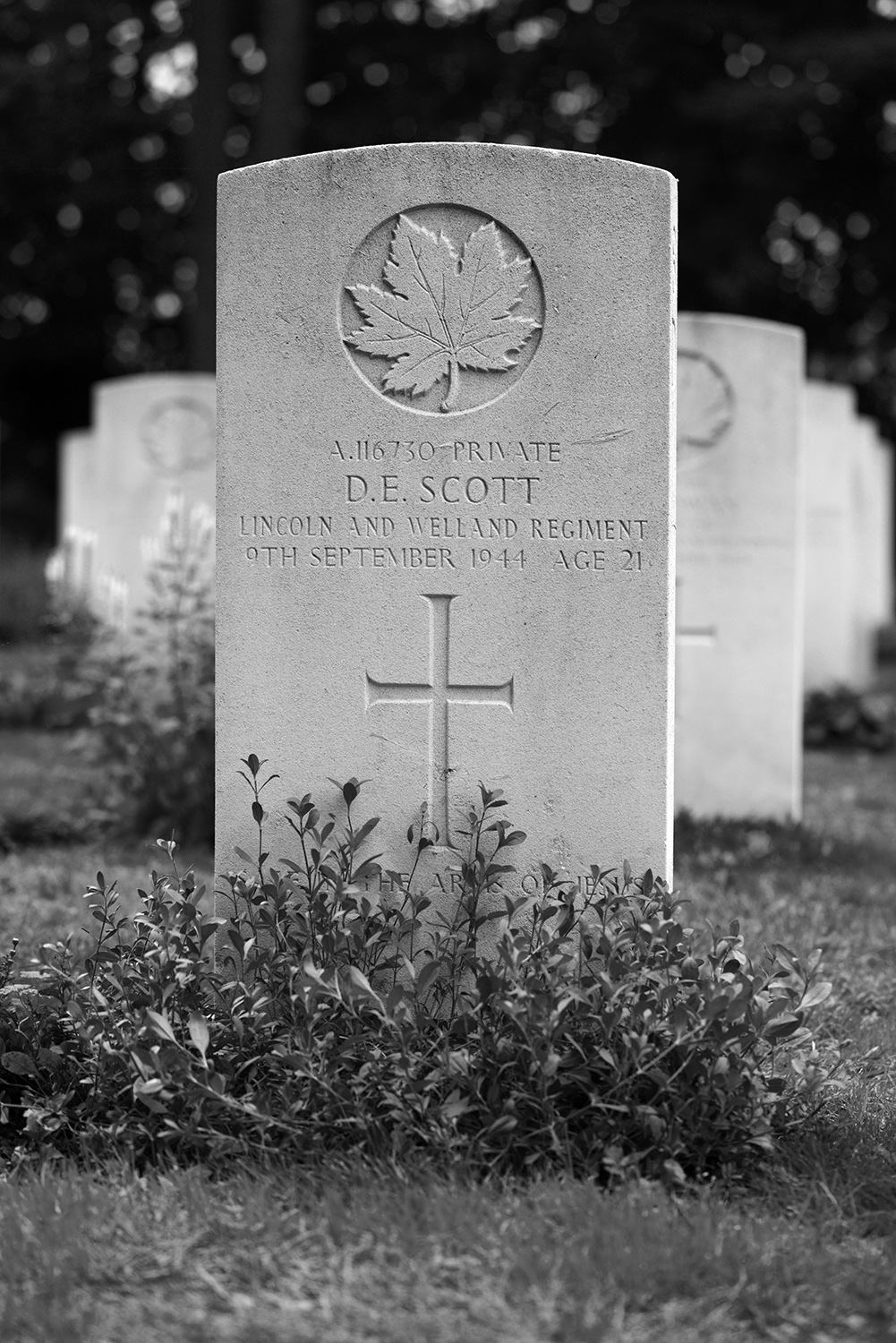 SCOTT, DONALD EPHRAIM - Lincoln and Welland Regiment, R.C.I.C.