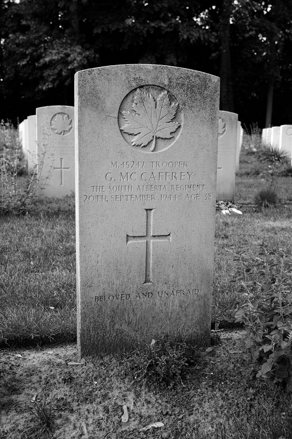 MCCAFFREY, GEORGE - South Alberta Regiment, R.C.A.C.