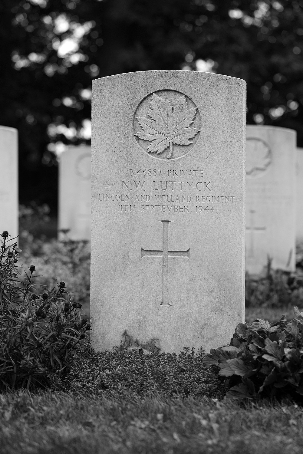 LUTTYCK, NICK WILLIAM - Lincoln and Welland Regiment, R.C.I.C.