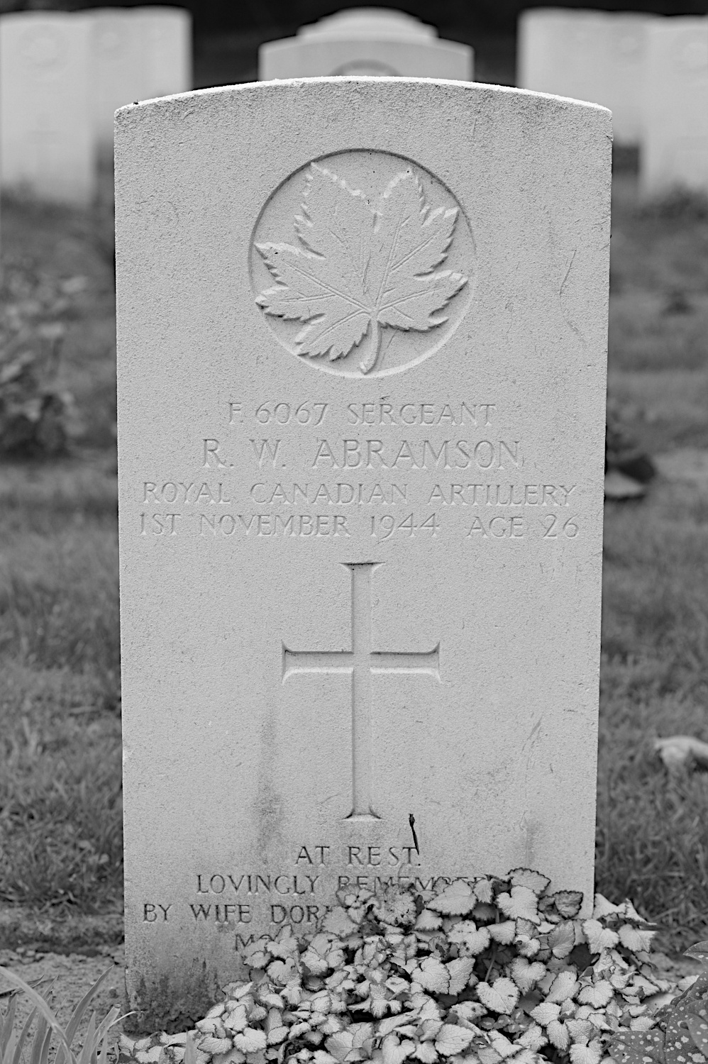 ABRAMSON, RODERICK WILLIAM - 3 Anti Tank Regiment, R.C.A.