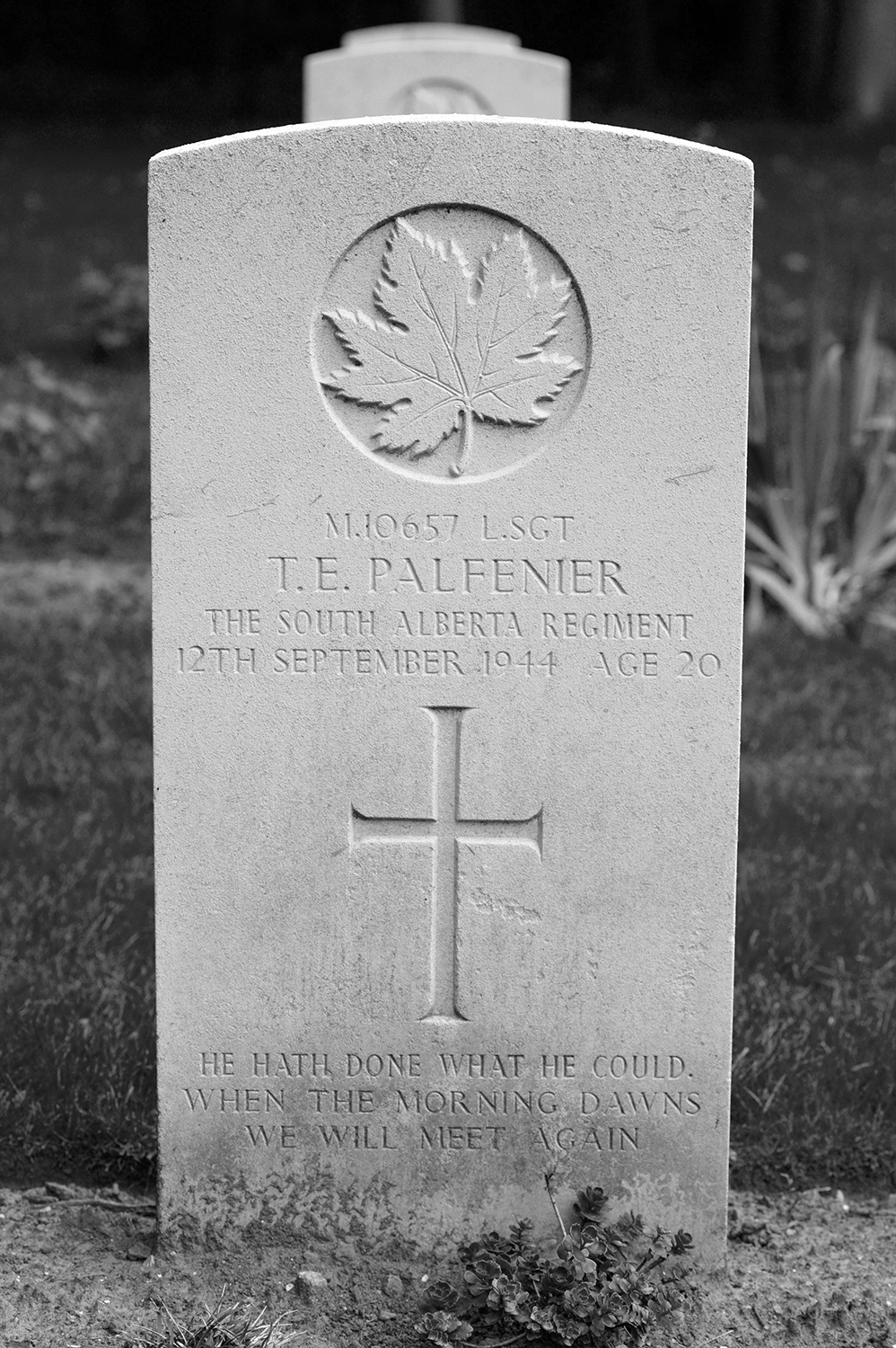 PALFENIER, THEODORE EMERY - South Alberta Regiment, R.C.A.C.