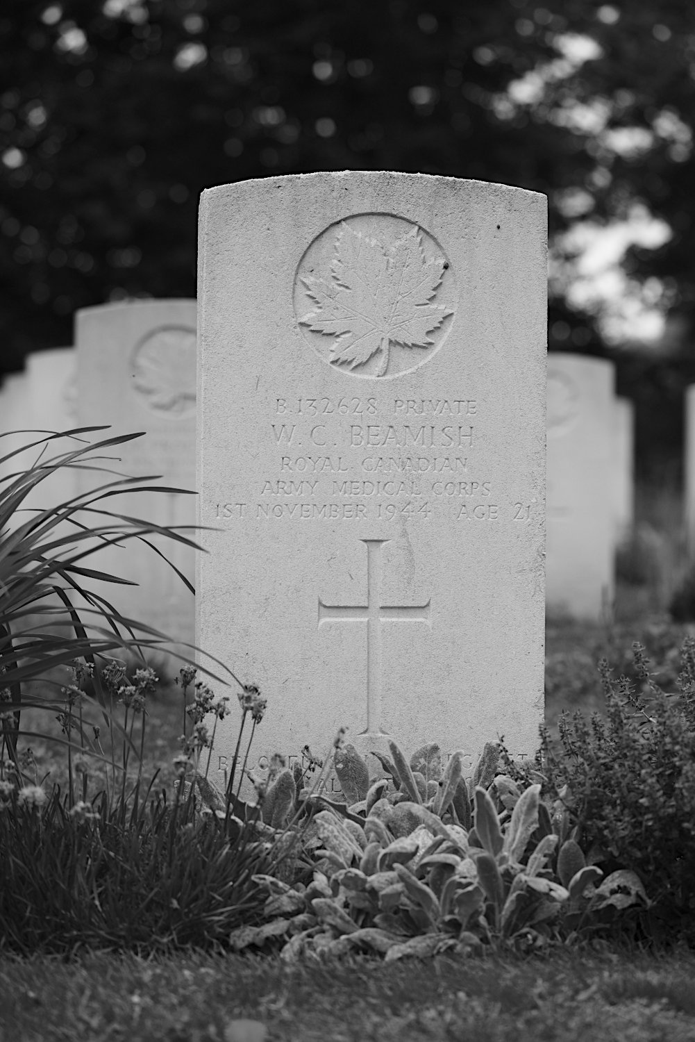 BEAMISH, WILFRED CRANDLE - Royal Canadian Army Medical Corps
