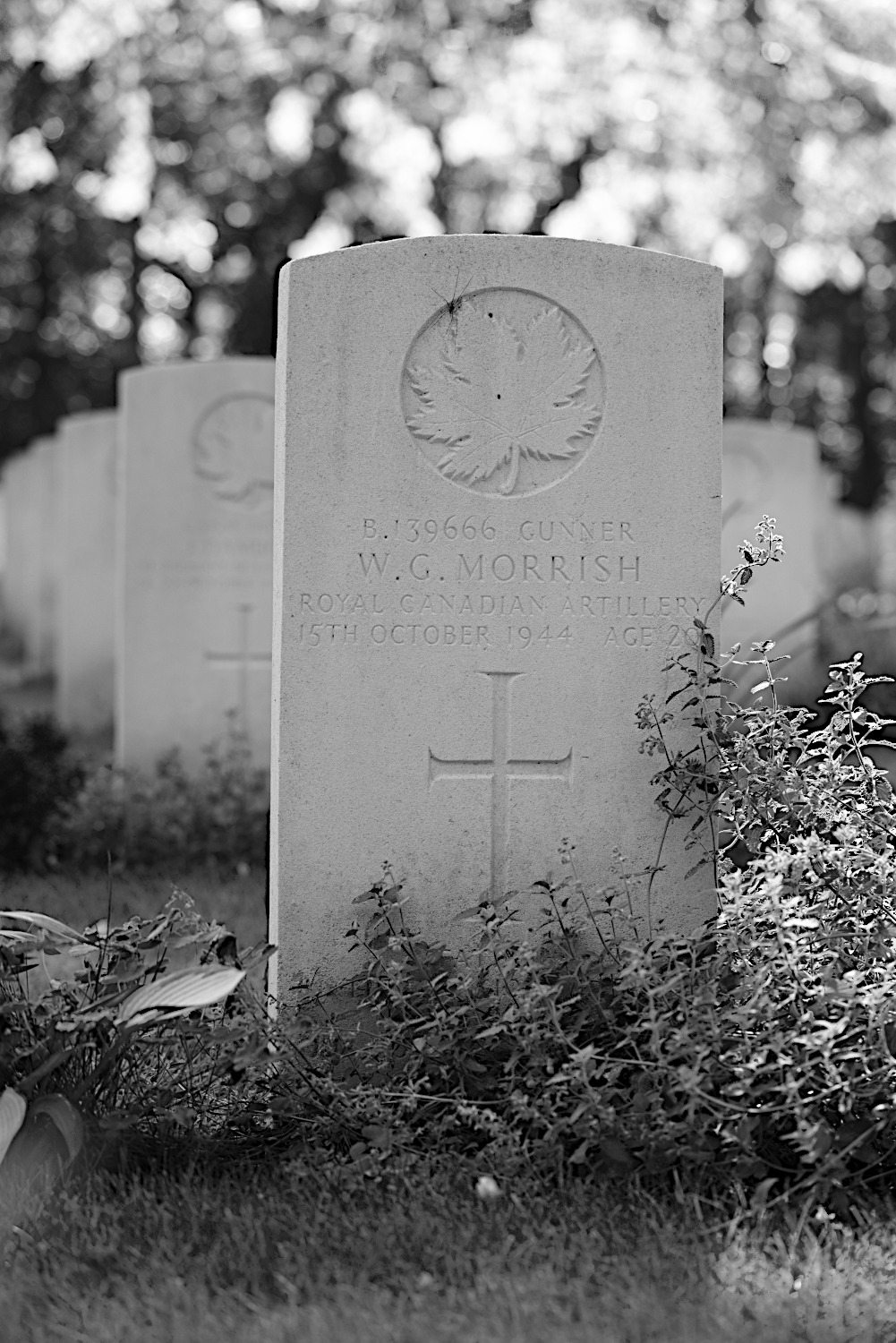 MORRISH, WILLIAM GEORGE - 2 Survey Regiment, R.C.A.
