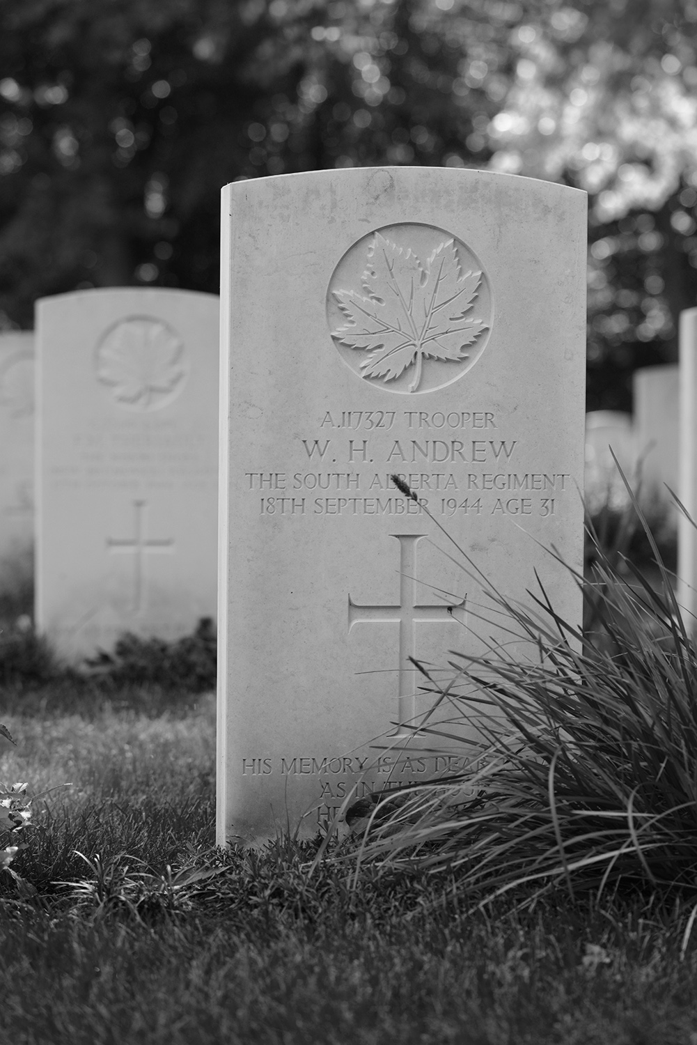 ANDREW, WALTER HAROLD - South Alberta Regiment, R.C.A.C.
