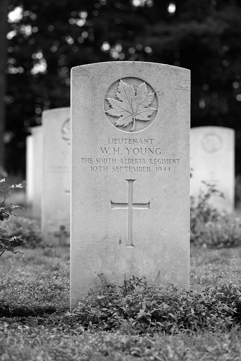 YOUNG, WALLACE HAY - South Alberta Regiment, R.C.A.C.
