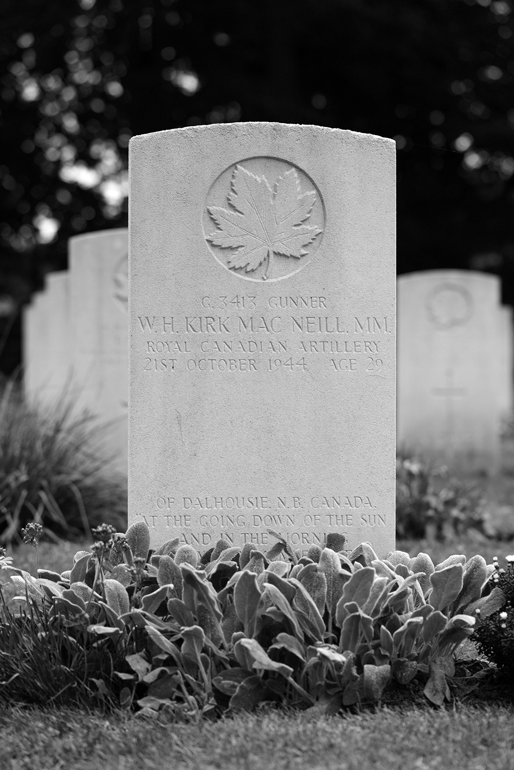 MACNEILL, WILLIAM HOWE KIRK M.M. - 14 Field Regiment, R.C.A.