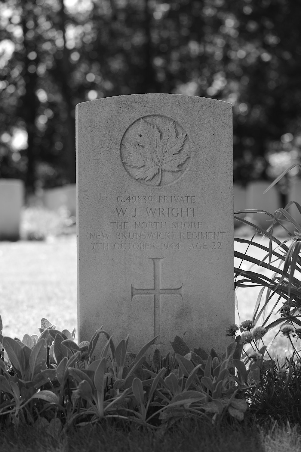 WRIGHT, WILLARD JOHN - North Shore (New Brunswick) Regiment, R.C.I.C.