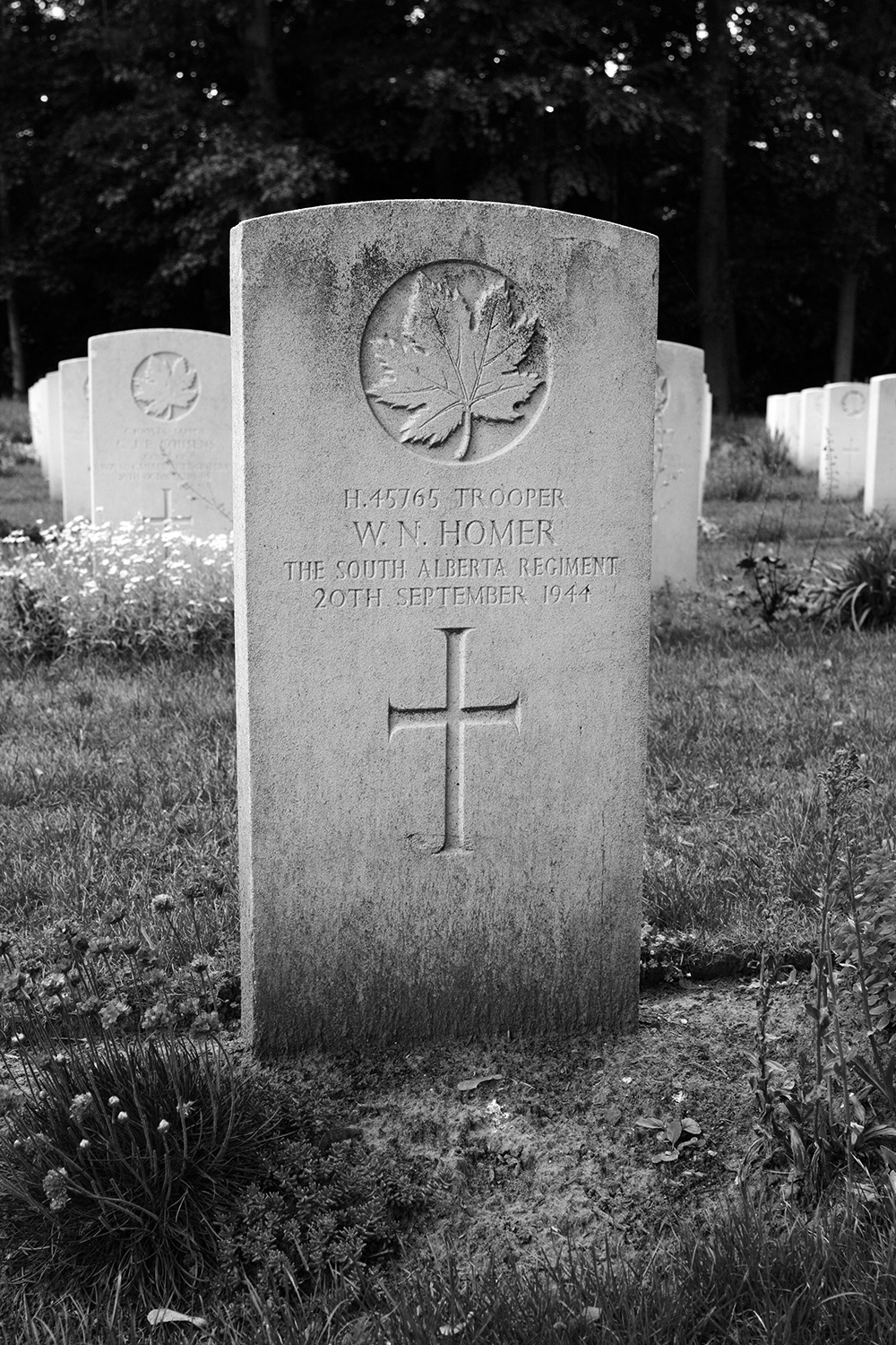 HOMER, WILFRED NEWTON - South Alberta Regiment, R.C.A.C.