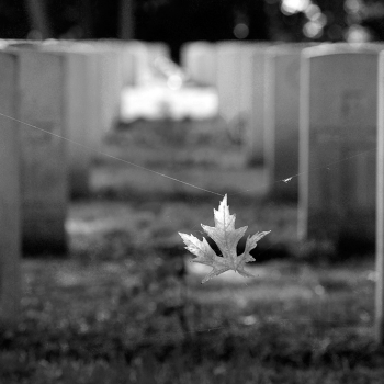 Adegem 2018. Photo: Michael van de Velde