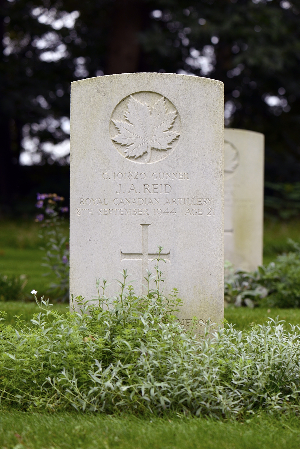 REID, JAMES ALLAN, 23 Field Regiment, RCA