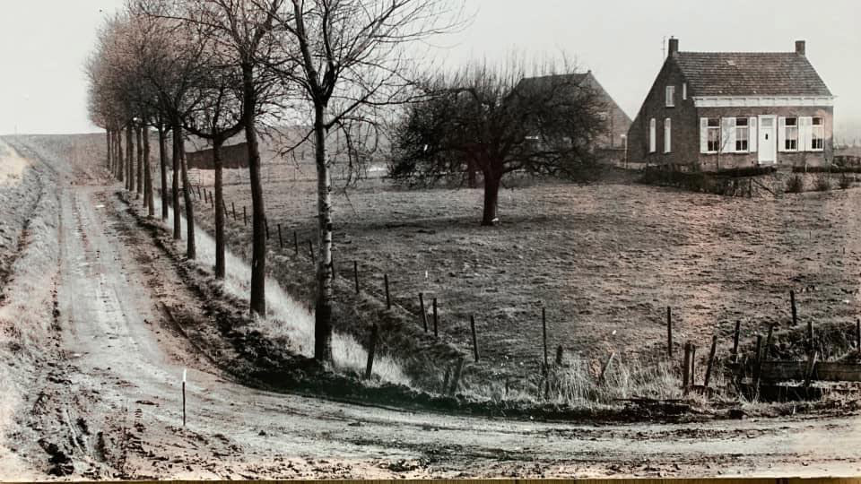 Scheldedijk, Biervliet, Netherlands